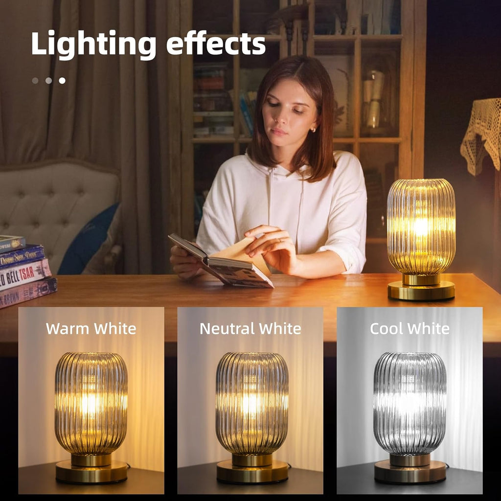 Bedside Table Lamp with Glass Shade Modern Desk Lamp with Plug-in Style for Bedroom Living Room