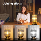 Bedside Table Lamp with Glass Shade Modern Desk Lamp with Plug-in Style for Bedroom Living Room