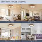 20" Boho Cage Enclosed Bladeless Ceiling Fan with Lights