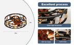 20" Caged Ceiling Fans with Lights and Remote Flush Mount Farmhouse Industrial Bladeless Ceiling Fan