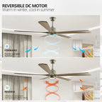 Modern Wood Ceiling Fan with Light and Remote Control